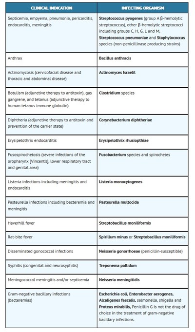 Indications (Indications 1)